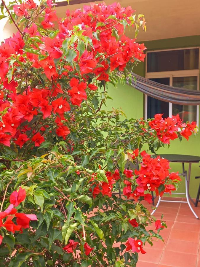 Serenity Lodges Dominica Marigot Exterior photo